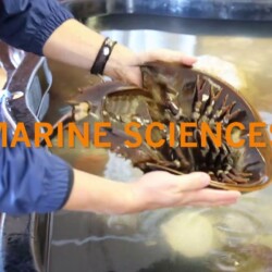 Bournedale Video Part 2 Bournedale Video Part 2